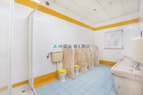 ANG1249 - Moradia T4 para Venda em Pelariga, Pombal