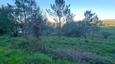 ANG1294 - Lote de Terreno para Venda em Pombal