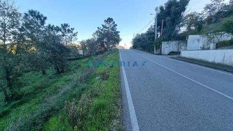 ANG1294 - Lote de Terreno para Venda em Pombal