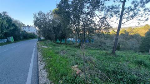 ANG1294 - Lote de Terreno para Venda em Pombal