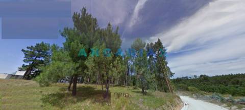 ANG1304 - Terreno para Construção à Venda em Marinha Grande