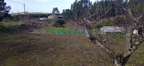 ANG1343 - Terreno para Venda em Cortes, Leiria
