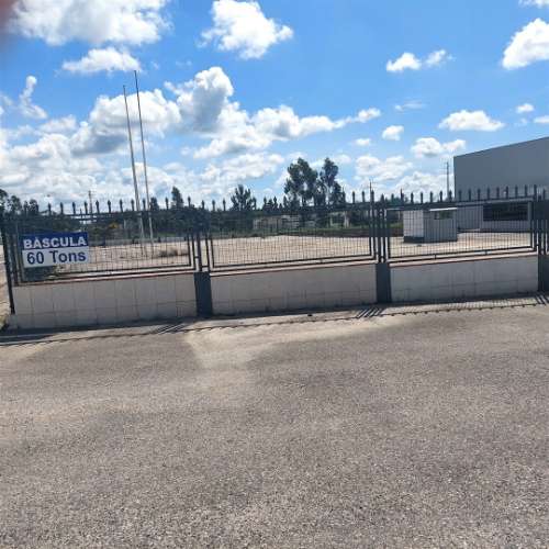 ANG1353 - Terreno para Arrendamento em Ataija de Cima, Aljubarrota