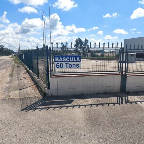 ANG1353 - Terreno para Arrendamento em Ataija de Cima, Aljubarrota