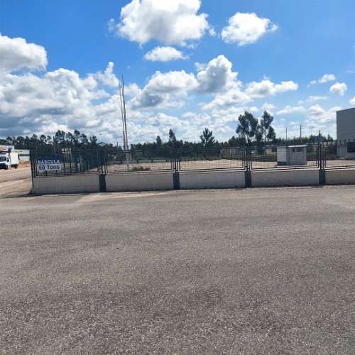 ANG1353 - Terreno para Arrendamento em Ataija de Cima, Aljubarrota