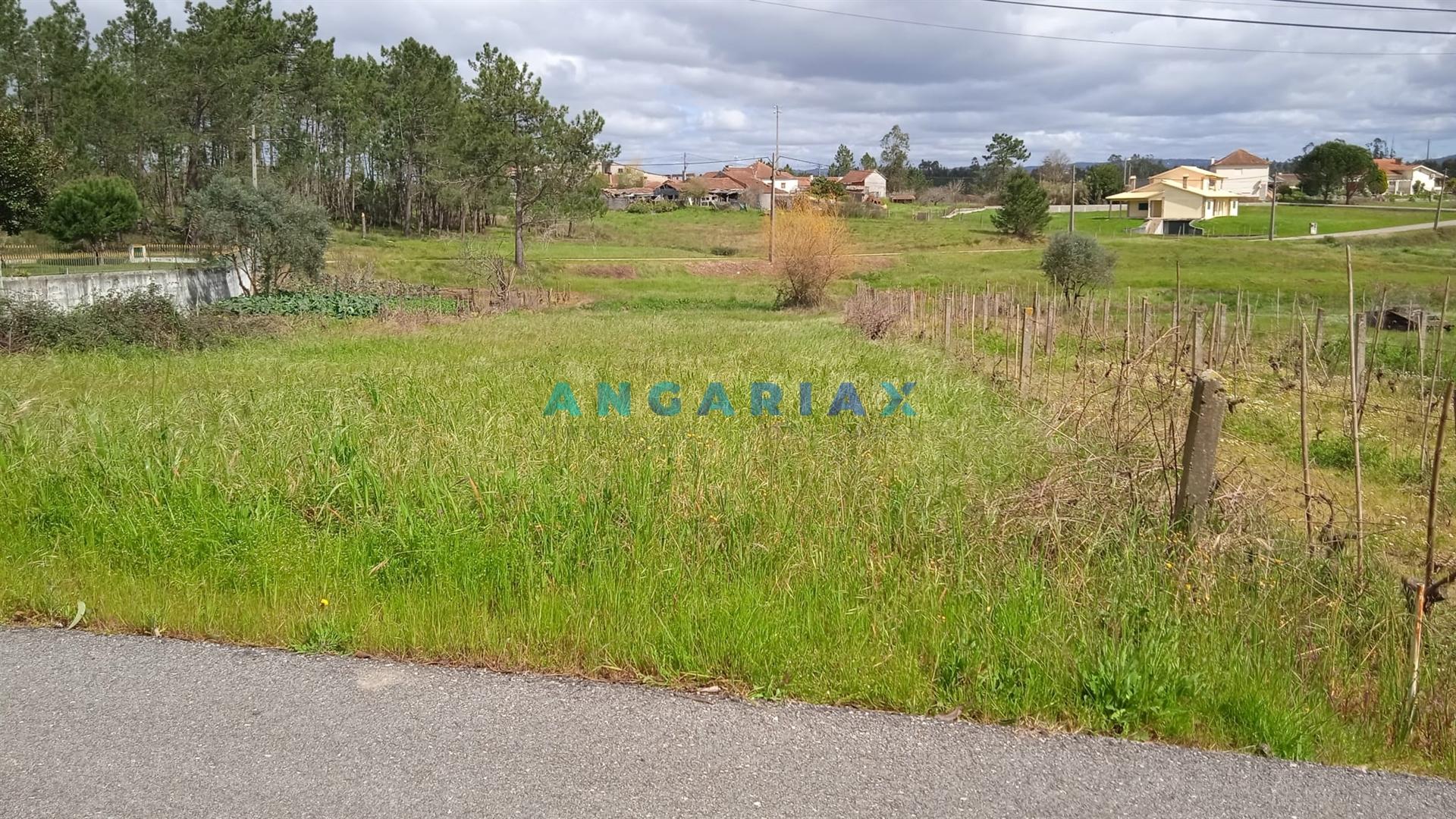 ANG1371 - Terreno  de 1170 m² para Venda em Almagreira, Pombal