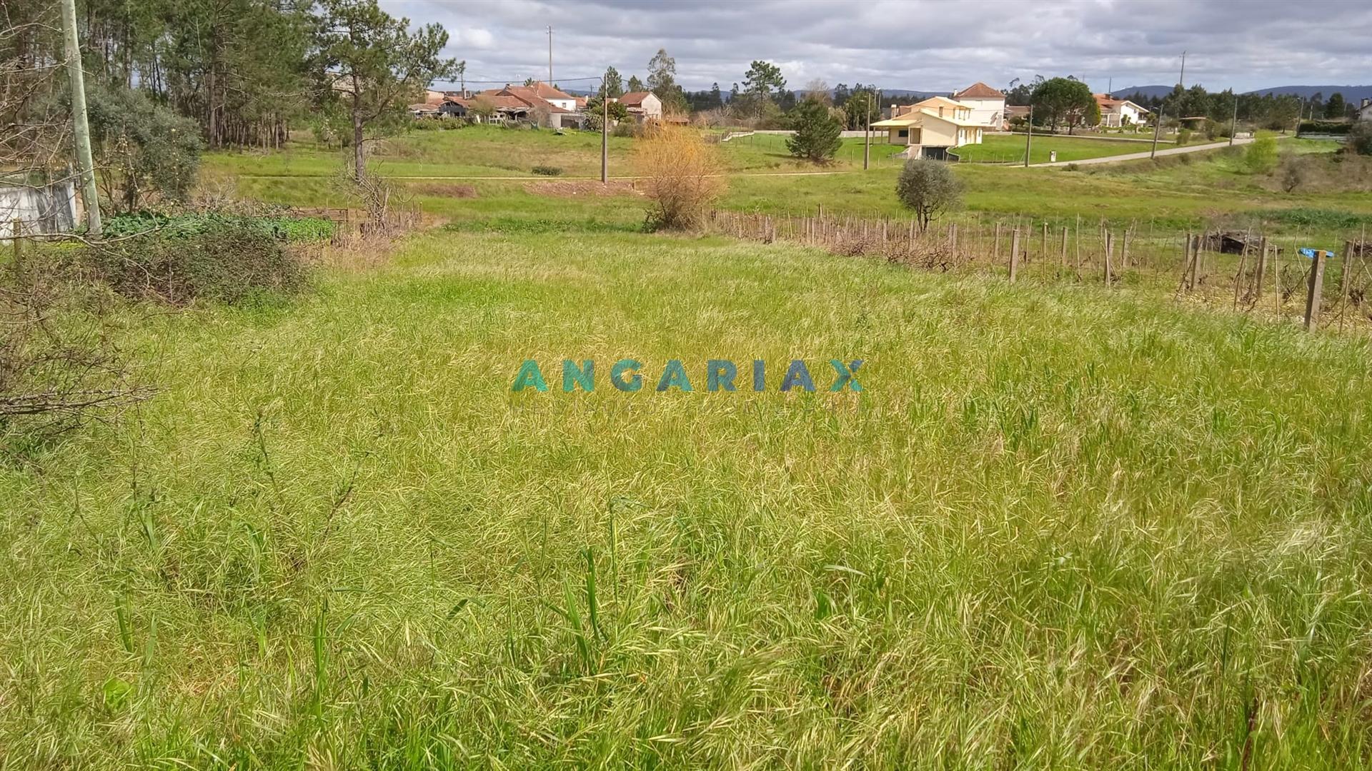 ANG1371 - Terreno  de 1170 m² para Venda em Almagreira, Pombal