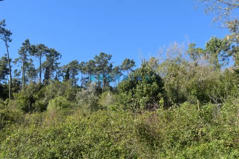 ANG1375 - Terreno para Venda em Coimbra