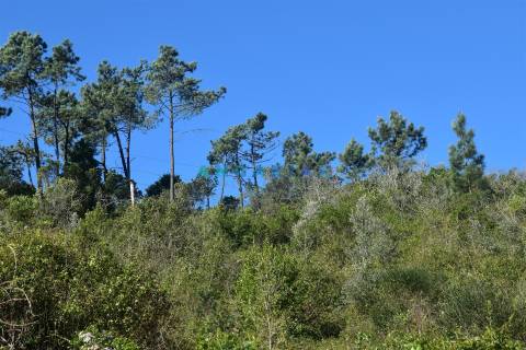 ANG1375 - Terreno para Venda em Coimbra