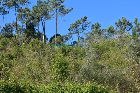 ANG1375 - Terreno para Venda em Coimbra