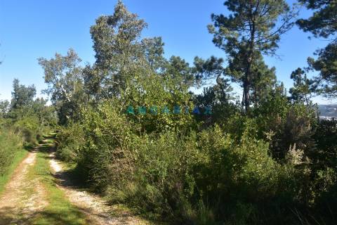 ANG1375 - Terreno para Venda em Coimbra