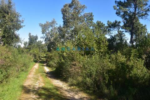 ANG1375 - Terreno para Venda em Coimbra