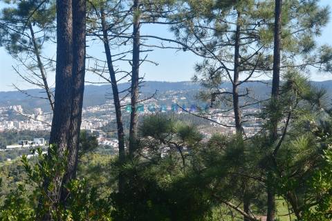 ANG1375 - Terreno para Venda em Coimbra