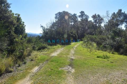 ANG1375 - Terreno para Venda em Coimbra