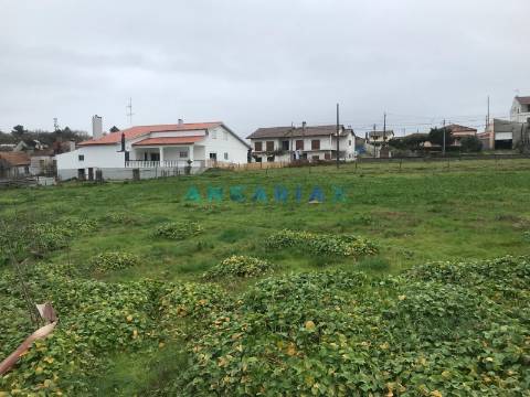 ANG1376 - Terreno para Venda em Pinheiros, Leiria