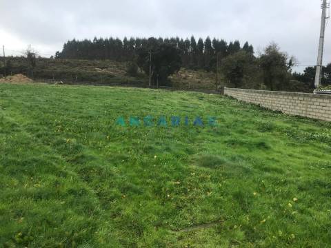 ANG1376 - Terreno para Venda em Pinheiros, Leiria