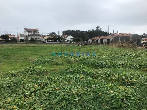ANG1376 - Terreno para Venda em Pinheiros, Leiria
