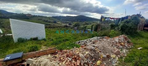 ANG1383 - Terreno para Venda em Cadaval, Lisboa