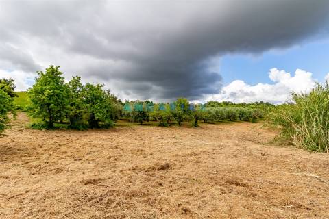 ANG1408 - Herdade T5 para Venda na Batalha