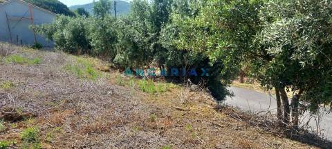ANG1422 - Terreno de 1264m2 para Venda em Cortes, Leiria