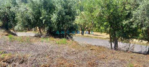 ANG1422 - Terreno de 1264m2 para Venda em Cortes, Leiria