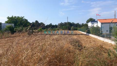 ANG1428 - Terreno para Venda em Amor, Leiria