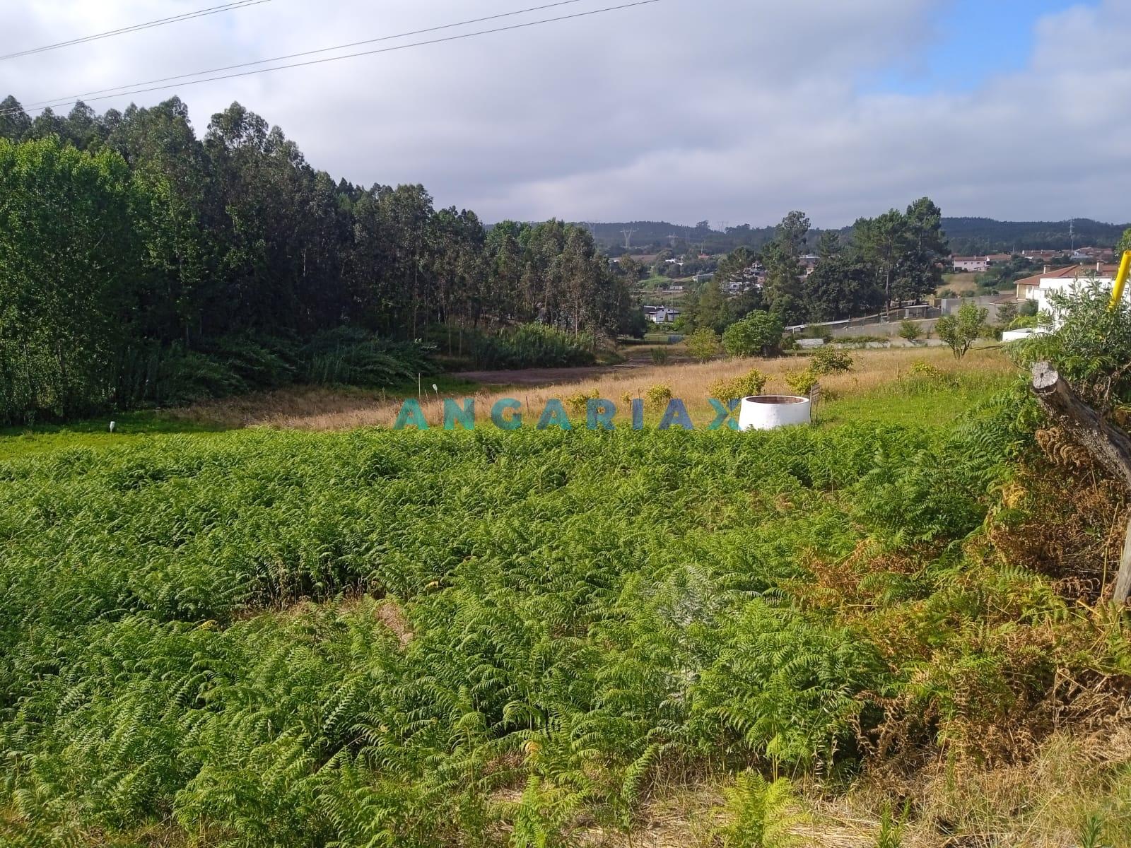 ANG1437 - Terreno para Venda em Maceira, Leiria