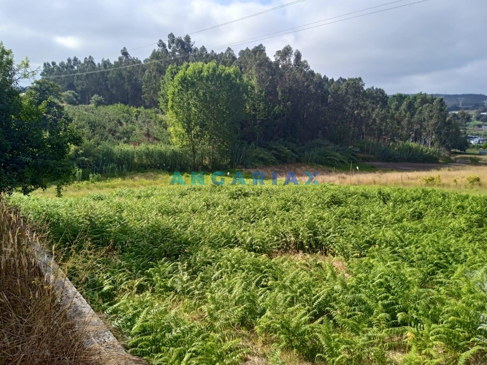 ANG1437 - Terreno para Venda em Maceira, Leiria