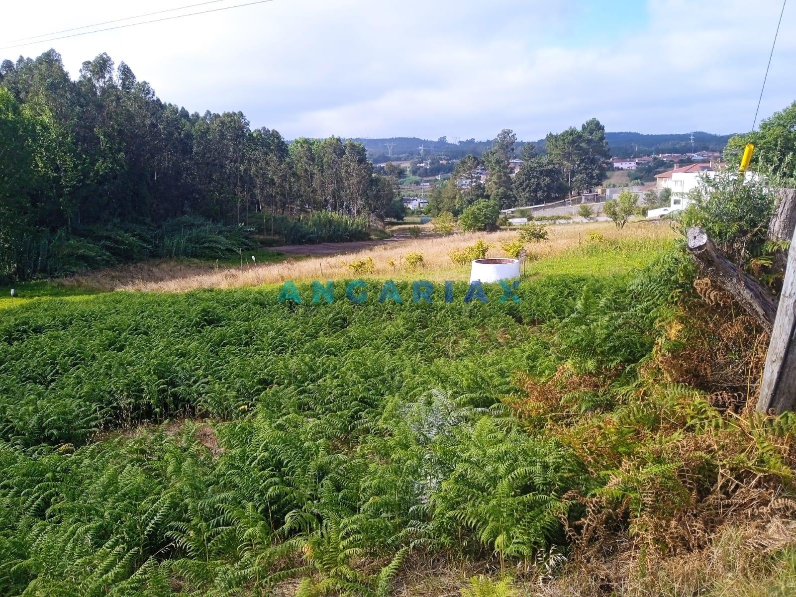 ANG1437 - Terreno para Venda em Maceira, Leiria