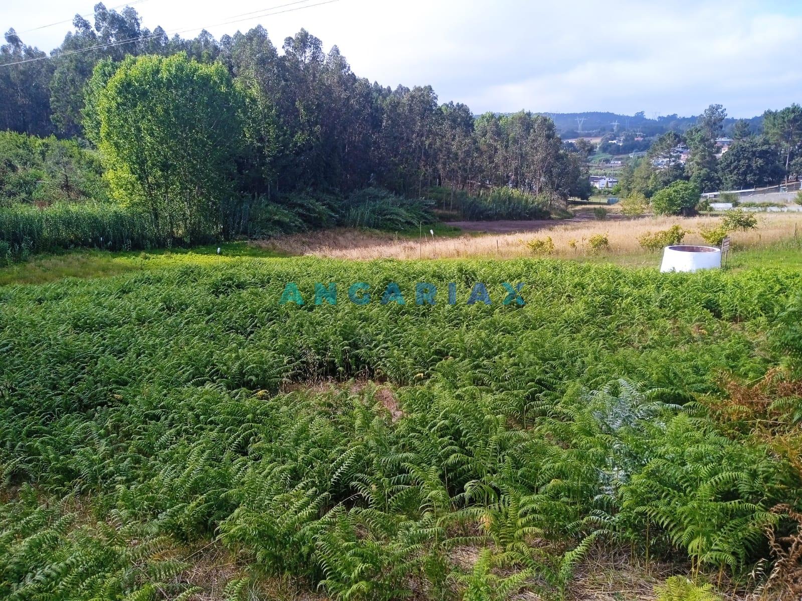 ANG1437 - Terreno para Venda em Maceira, Leiria