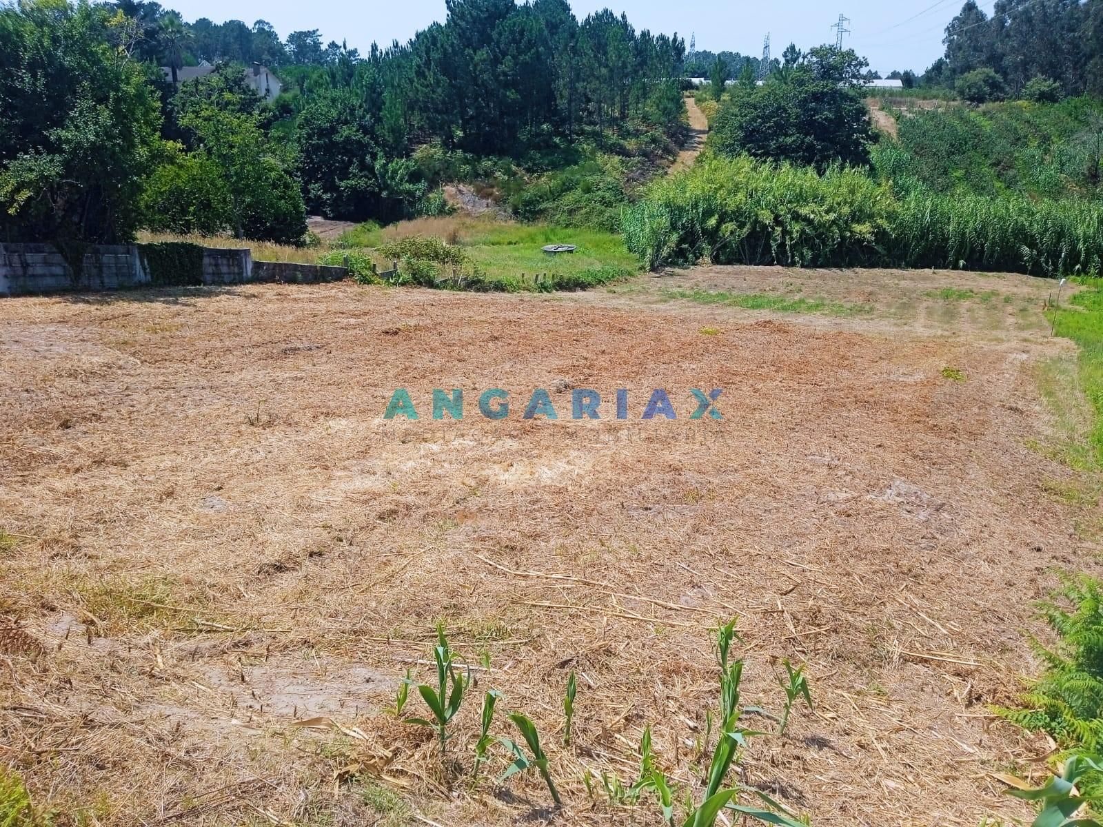 ANG1437 - Terreno para Venda em Maceira, Leiria