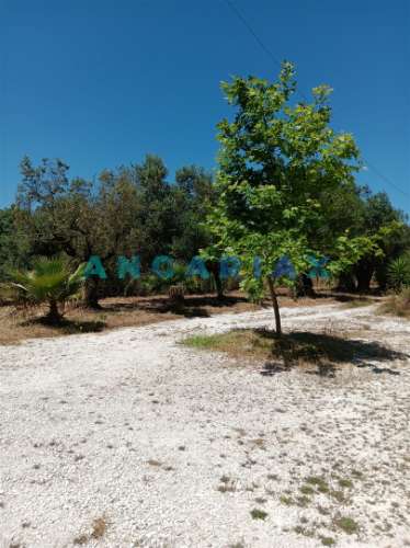 ANG1436 - Moradia T2 + T1 para Venda em Mendiga, Porto de Mós