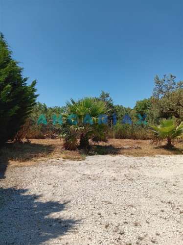 ANG1436 - Moradia T2 + T1 para Venda em Mendiga, Porto de Mós