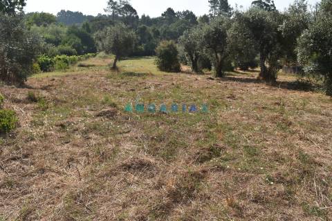 ANG1450 - Terreno para Venda em Figueiró dos Vinhos