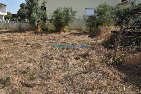 ANG1450 - Terreno para Venda em Figueiró dos Vinhos