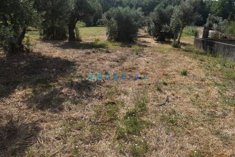 ANG1450 - Terreno para Venda em Figueiró dos Vinhos