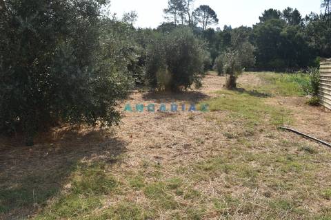 ANG1450 - Terreno para Venda em Figueiró dos Vinhos
