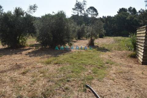 ANG1450 - Terreno para Venda em Figueiró dos Vinhos