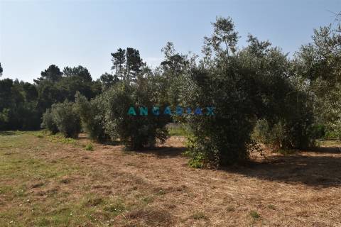 ANG1450 - Terreno para Venda em Figueiró dos Vinhos