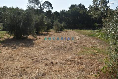 ANG1450 - Terreno para Venda em Figueiró dos Vinhos