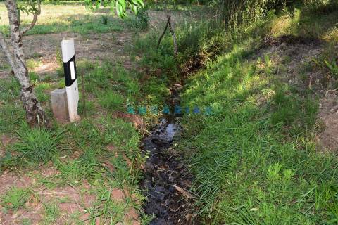 ANG1450 - Terreno para Venda em Figueiró dos Vinhos