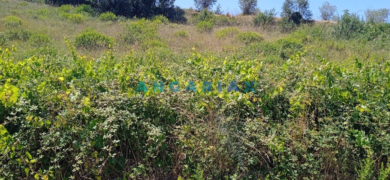 ANG1460 - Terreno para Venda em Batalha