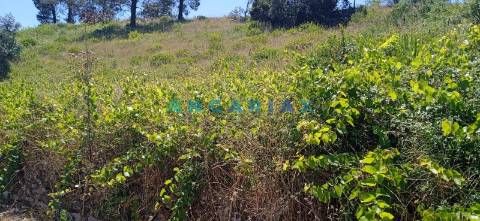 ANG1460 - Terreno para Venda em Batalha