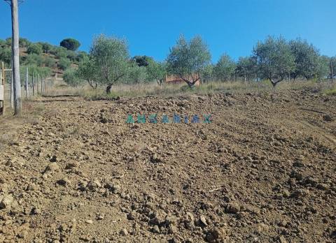 ANG1486 - Terreno para Venda em Batalha