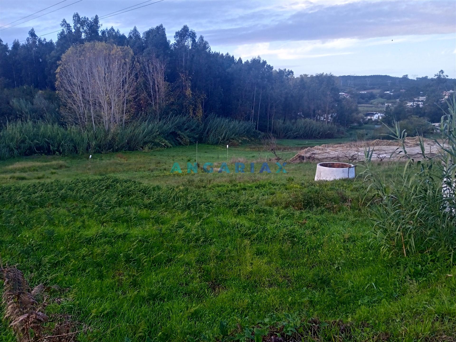 ANG1495 - Terreno para Venda em Maceira, Leiria