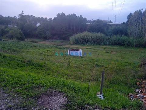 ANG1495 - Terreno para Venda em Maceira, Leiria