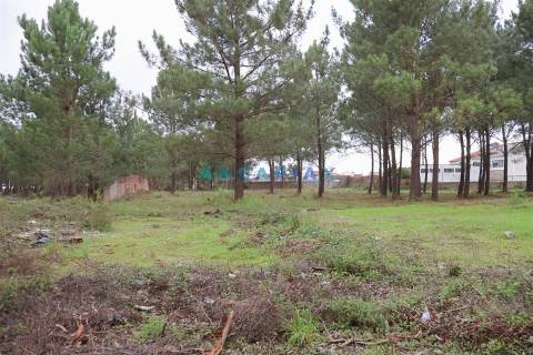 ANG1505 - Terreno para Venda em Marinha Grande