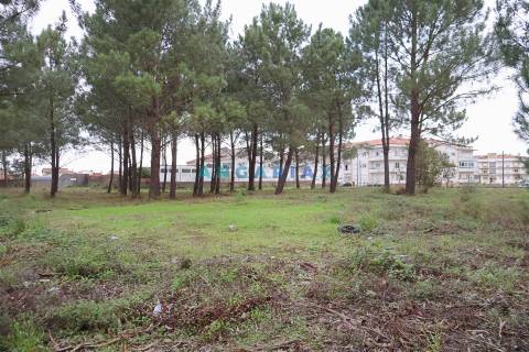 ANG1505 - Terreno para Venda em Marinha Grande