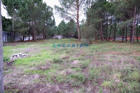 ANG1505 - Terreno para Venda em Marinha Grande