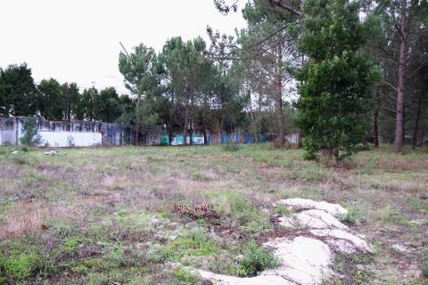 ANG1505 - Terreno para Venda em Marinha Grande
